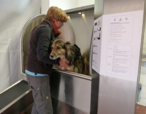 Shampoo eintragen vor dem Waschen
