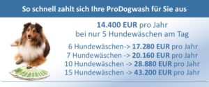 Prodogwasch Auszahlung Jahresumsatz