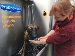 Hund draußen gewaschen
