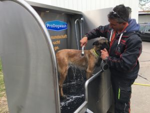 Hund mit Wasser abspülen draußen