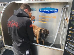 ProDogwasch im Einsatzt draußen
