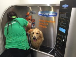 Hund wird von fressnapf Mitarbeiter gewaschen
