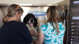 futterhaus hundewaschanlage im Einsatz