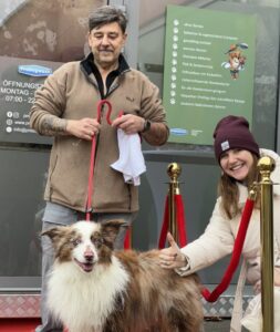 hunde weihnachtsgeschenke hundewaschanlage