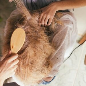 hunde weihnachtsgeschenke wellness