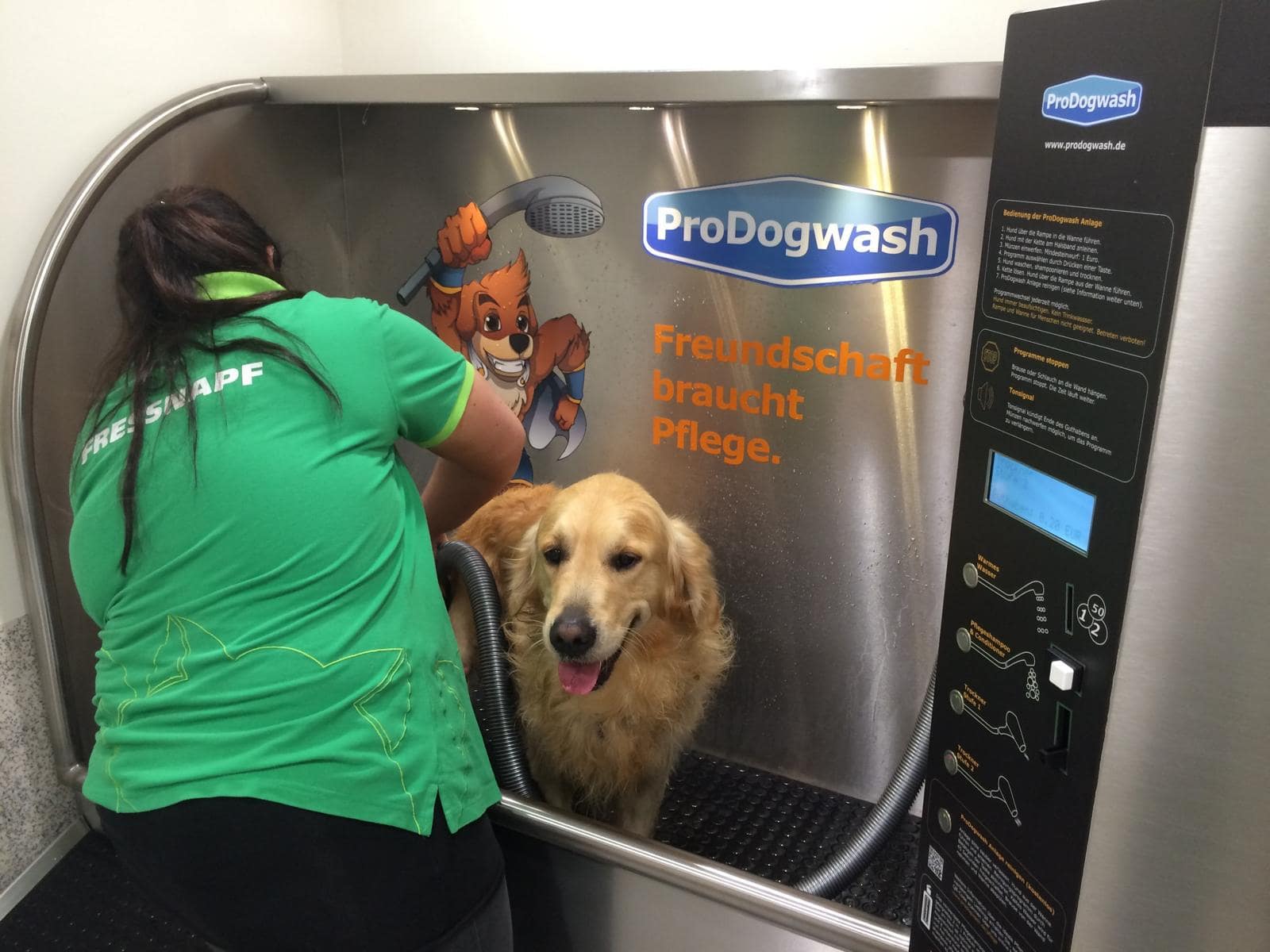 Golden Retriever Hundewaschanlage Fressnapf OHZ Indoor