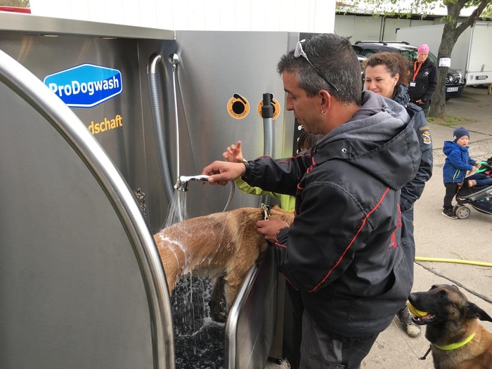 Outdoor Hundewaschanlage Halle Hund in Waschanlage