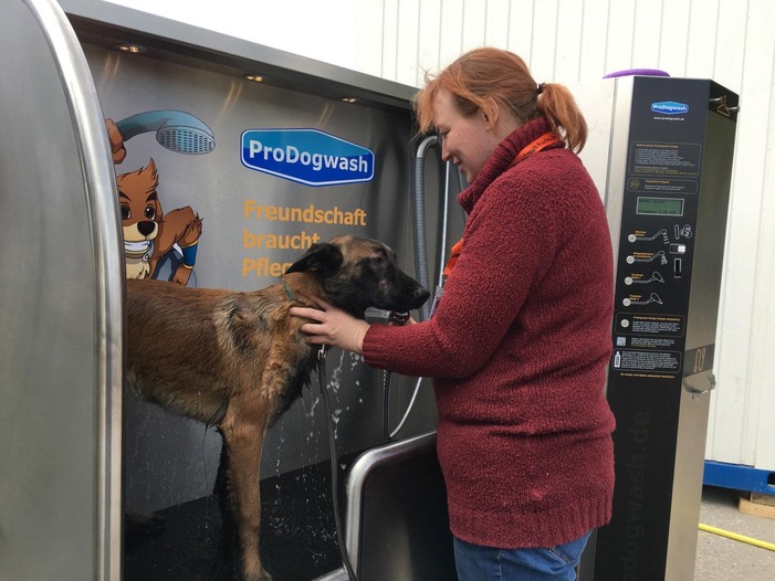Hund wird in Waschanlage gewaschen