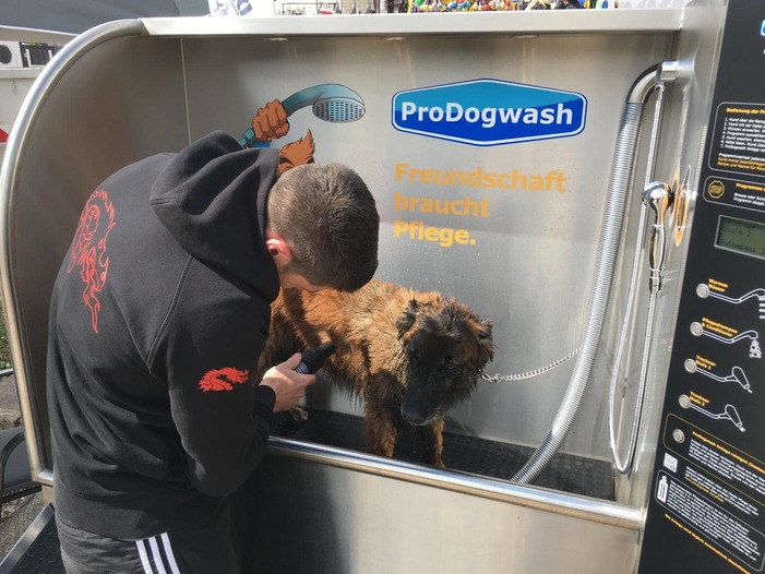 Hund wird geföhnt in Outdoor Hundewaschanlage Halle