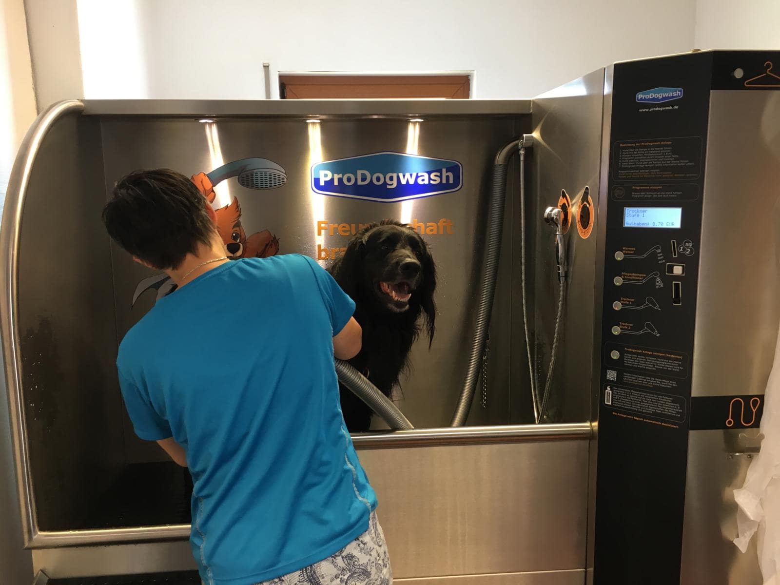 Hund in Indoor Hundewaschanlage Prodogwash
