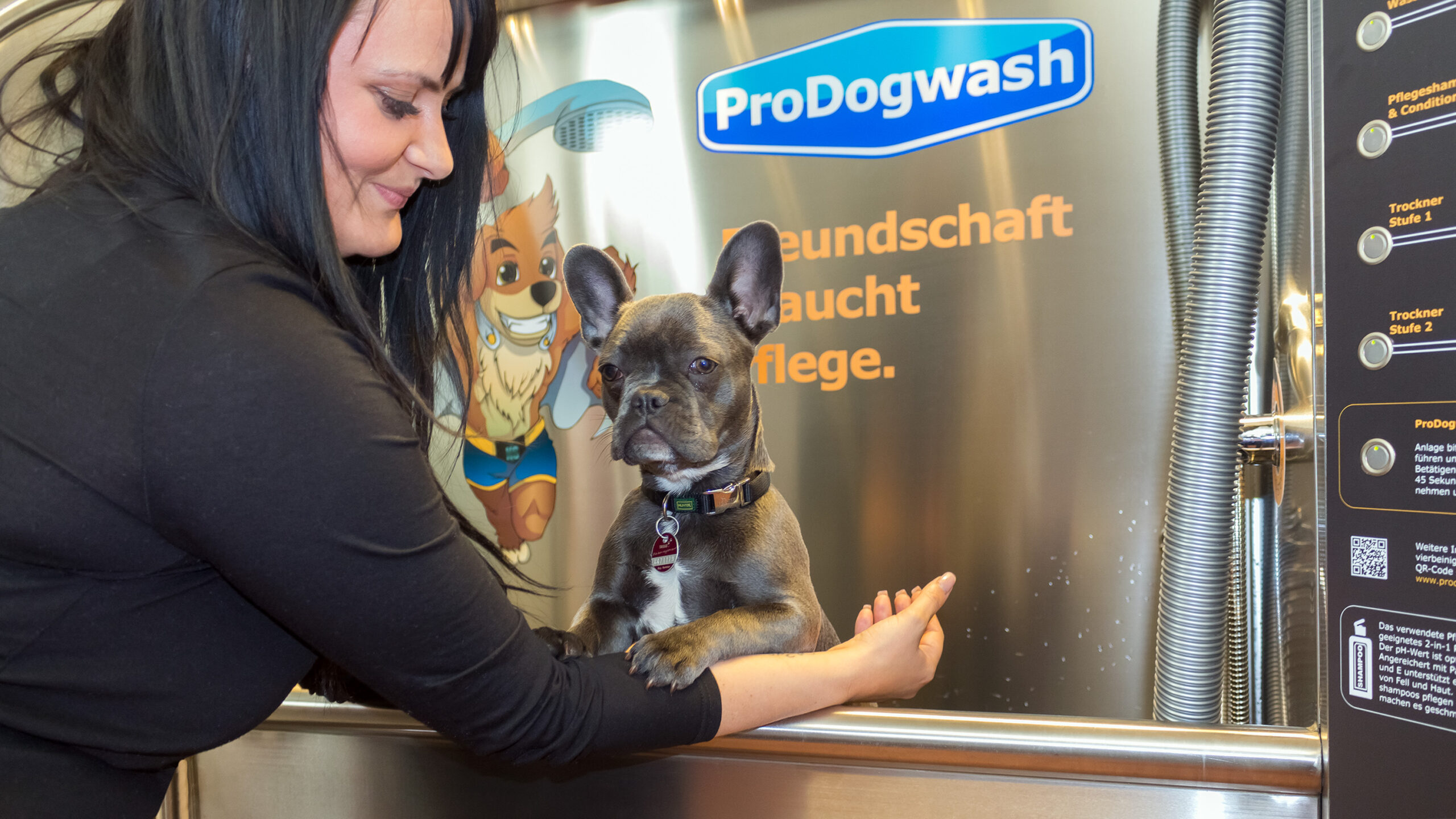 ProDogWash Hundewaschanlage – Französische Bulldogge waschen