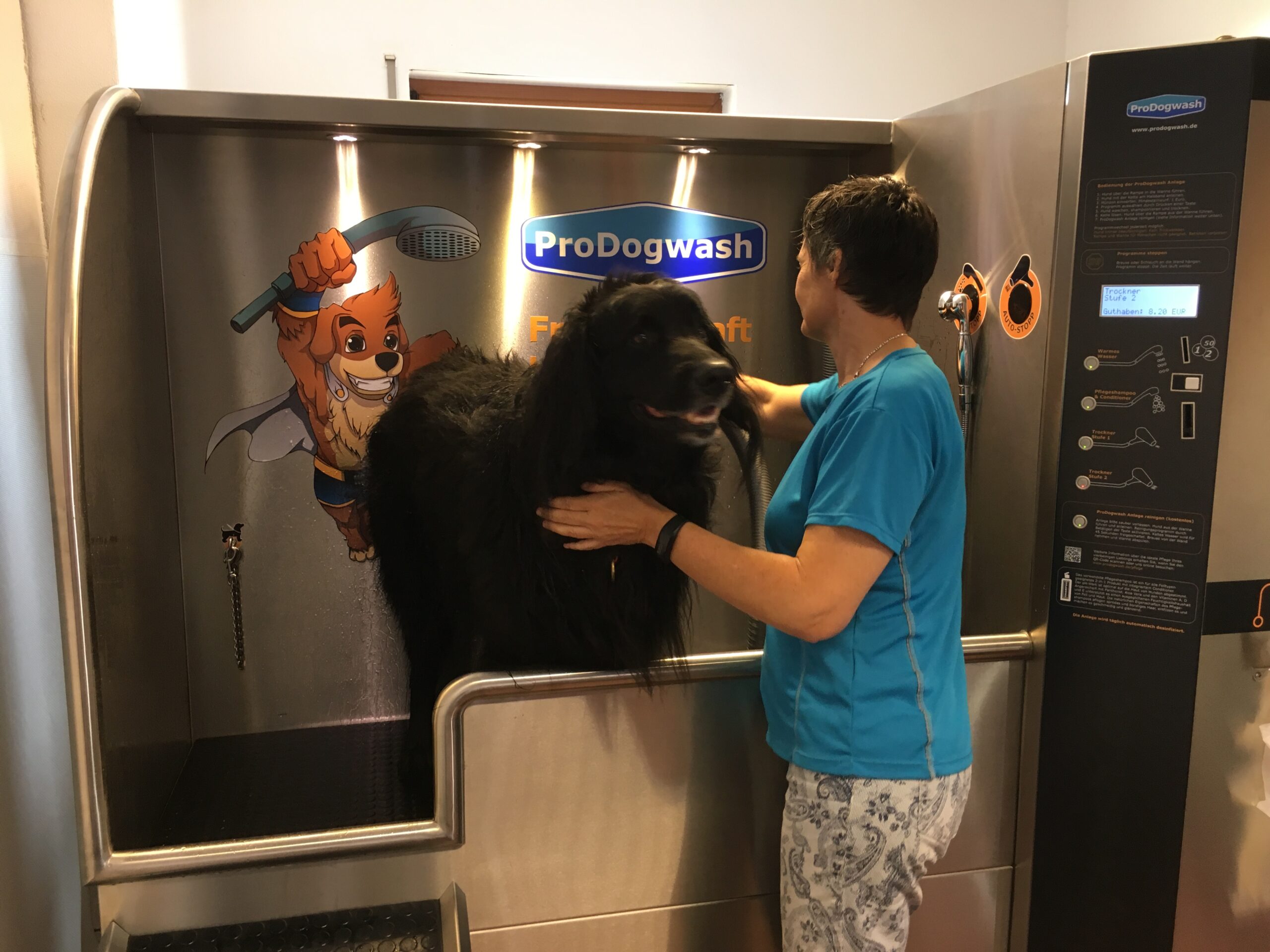 ProDogWash Hundewaschanlage – Neufundländer